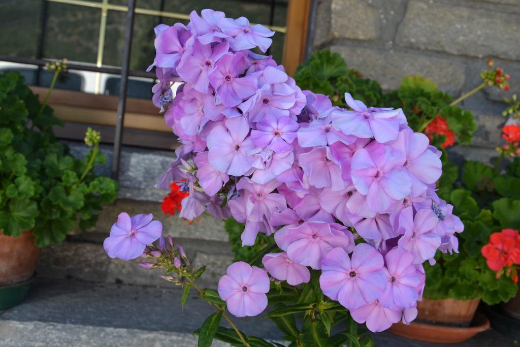 Gignod B&B Les Fleurs المظهر الخارجي الصورة